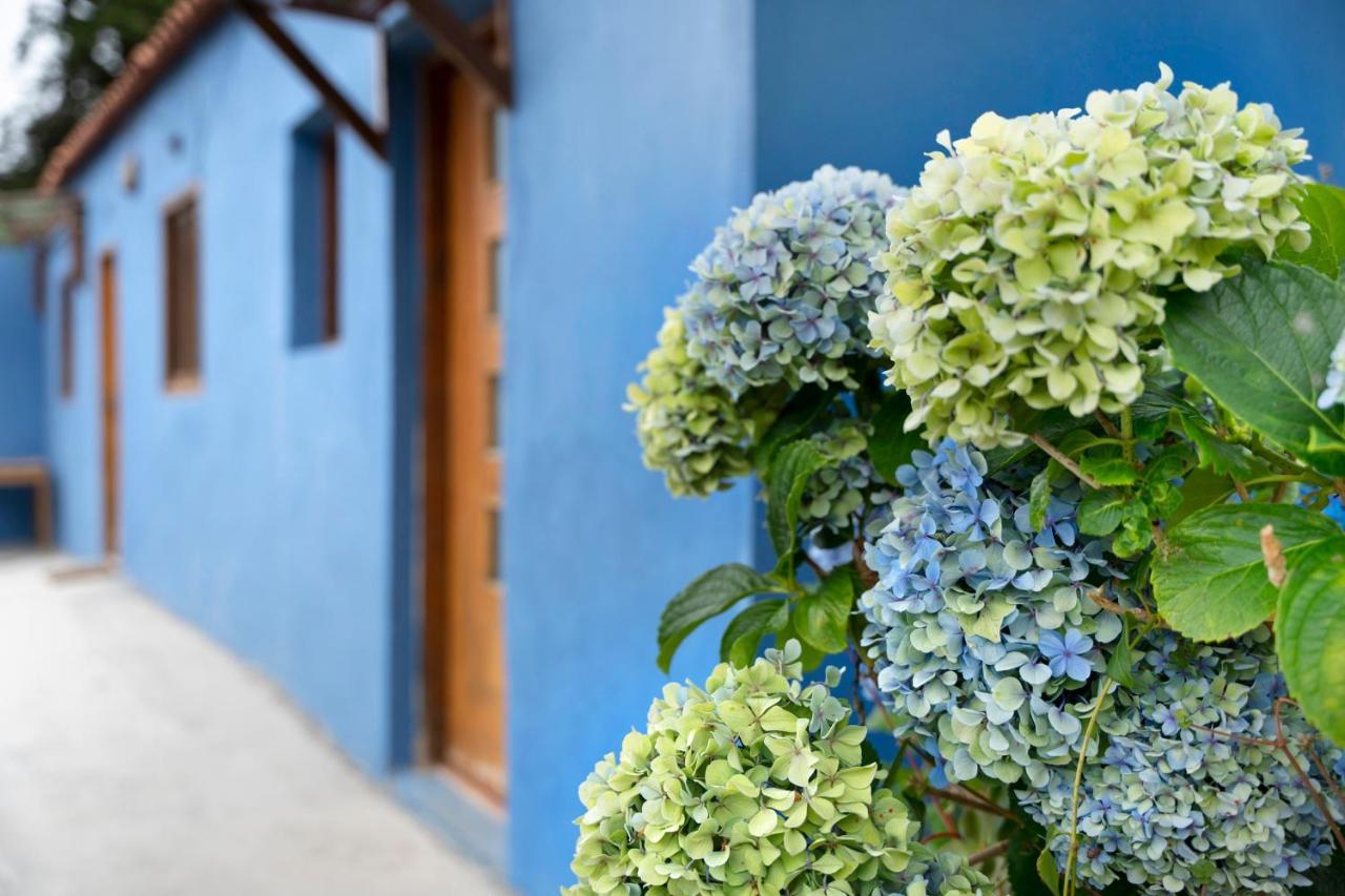 فيلا Casa Azul Del Roque Negro سانتا كروز دي تينيريف المظهر الخارجي الصورة